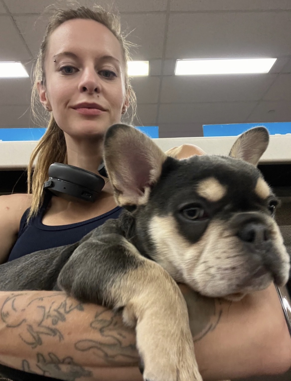 Carrying a young french bulldog through an appointment
