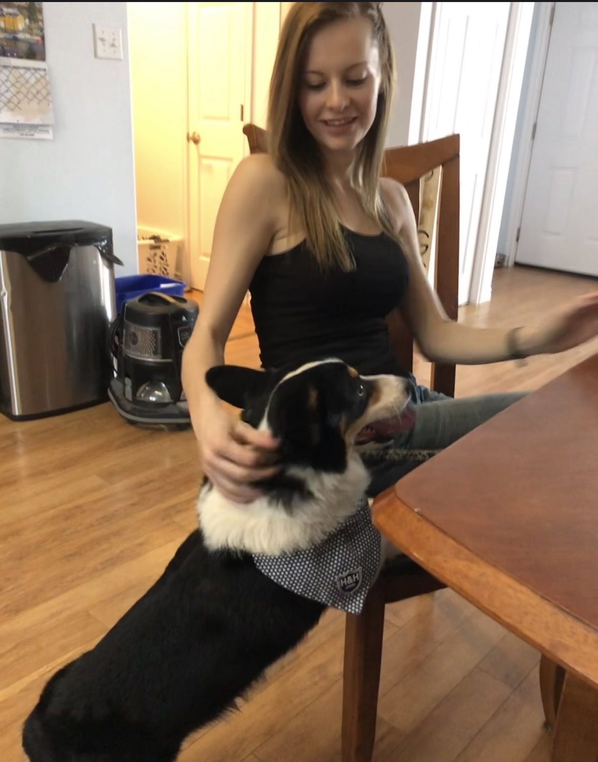 Greeting a bernese-cross at the kitchen table