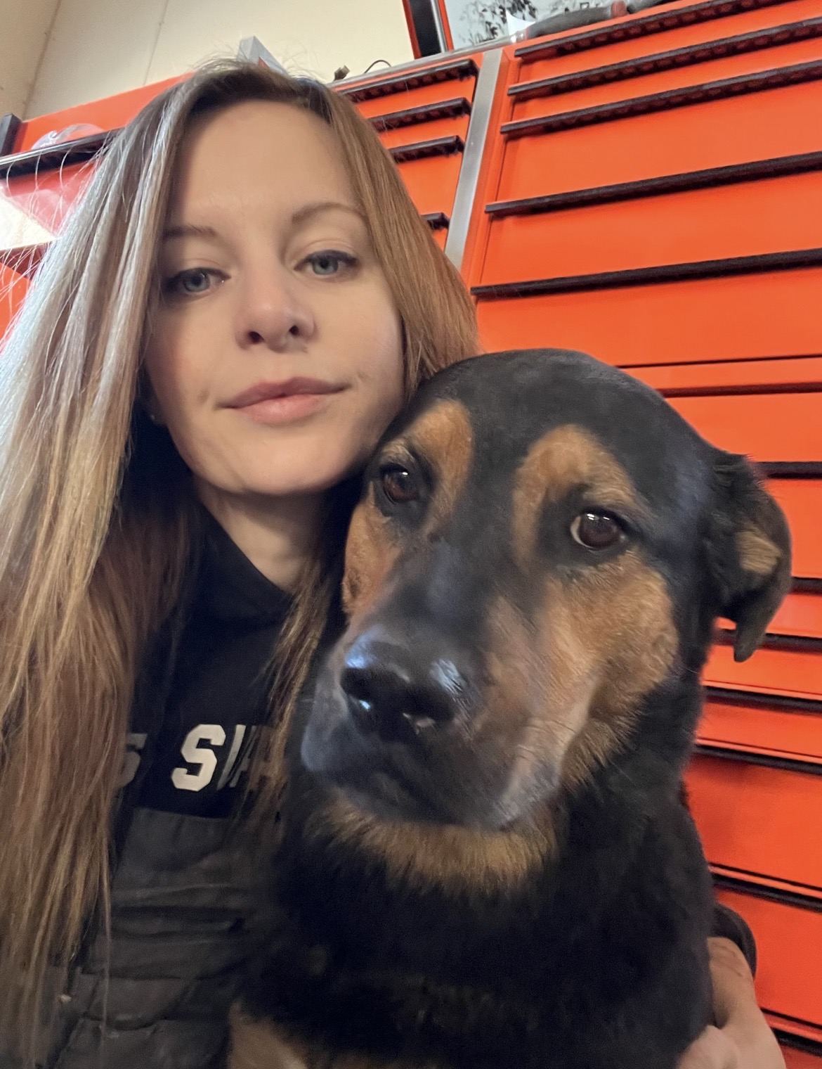 In the shop with a rescue dog by the tool chest
