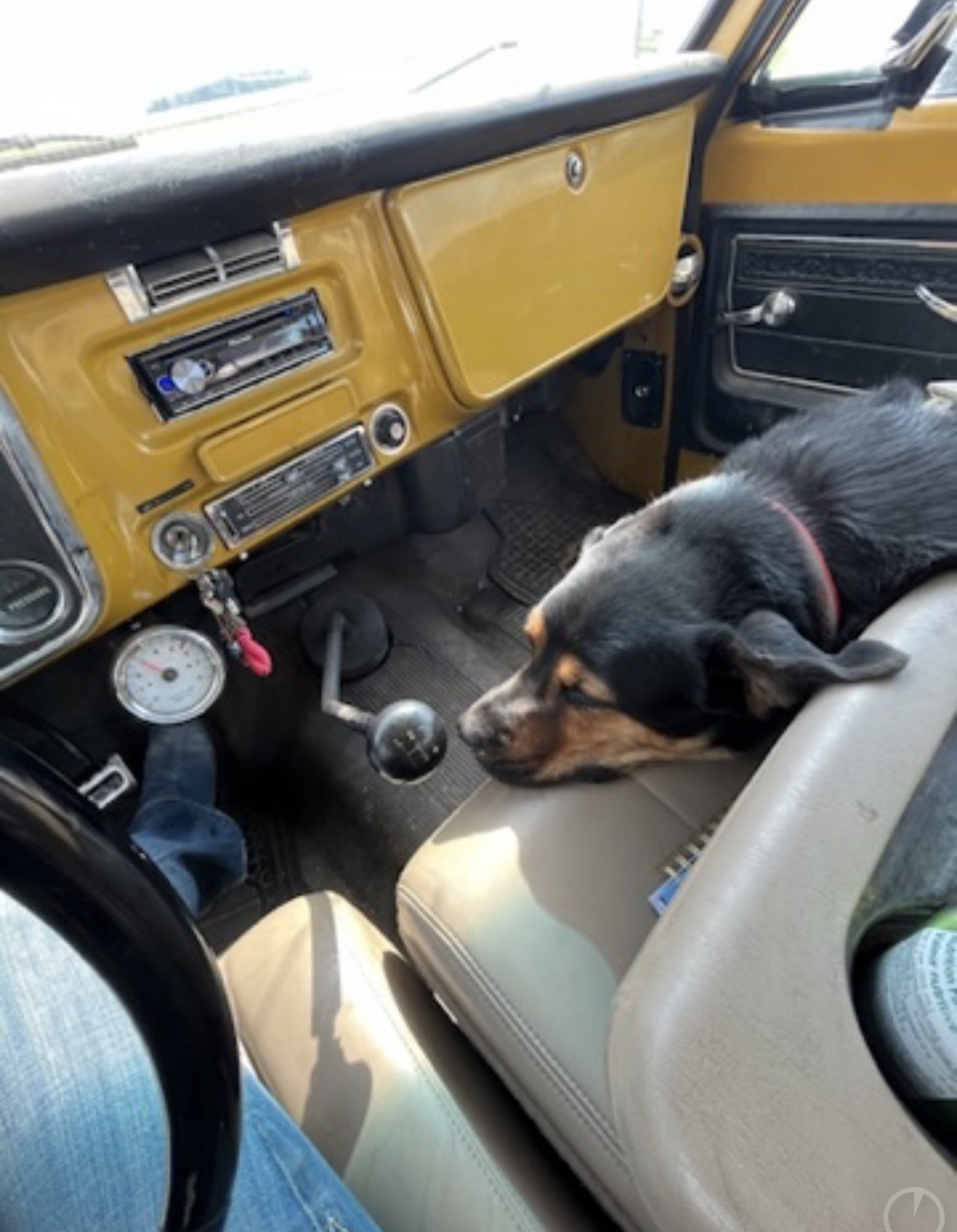 A dog asleep across the bench of a classic truck