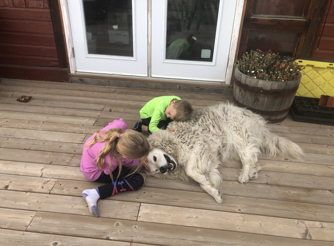 The kids on the deck with the big white farm dog