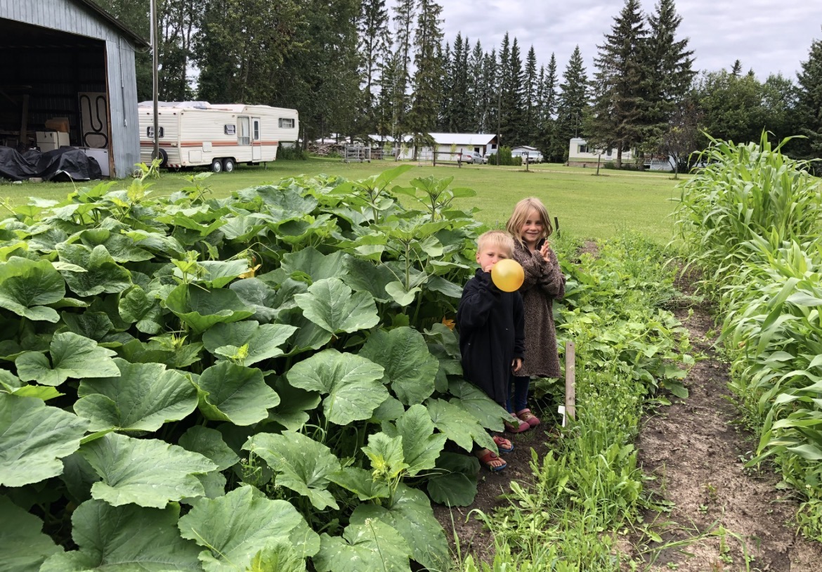 Children in the garden beside a long row of squash